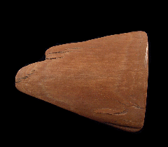 Siberian Mammuthus primigenius tusk for sale | Buried Treasure Fossils