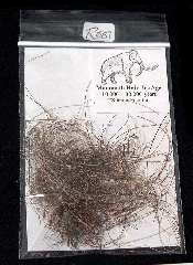 Mammuthus primigenius hair | Buried Treasure Fossils