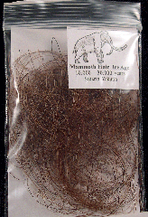 Wooly Mammoth hair| Buried Treasure Fossils