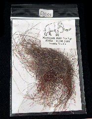 Mammuthus primigenius hair | Buried Treasure Fossils
