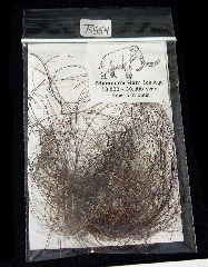 Mammoth hair for sale | Buried Treasure Fossils
