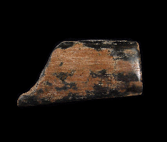 Real Mammoth tusk shard for sale | Buried Treasure Fossils
