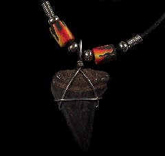 Fossil Great White shark tooth necklace for sale | Buried Treasure Fossils