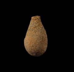 Hell Creek Spinifructus antiquus for sale | Buried Treasure Fossils