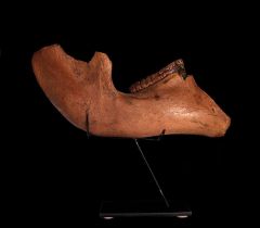 Woolly Mammoth jaw for sale | Buried Treasure Fossils