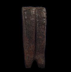 Fossil Horse tooth | Buried Treasure Fossil