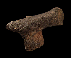 Pleistocene-aged horse caleaneus | Buried Treasure Fossils