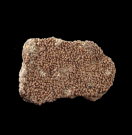Real Dinosaur egg shell for sale | Buried Treasure Fossils