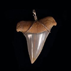 Jewelry Catalog