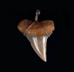 Jewelry Catalog
