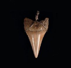 Jewelry Catalog