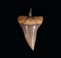 Jewelry Catalog