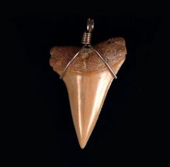Jewelry Catalog