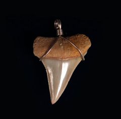Jewelry Catalog