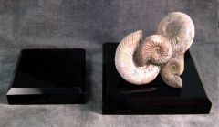 Top Beveled Black Acrylic Bases