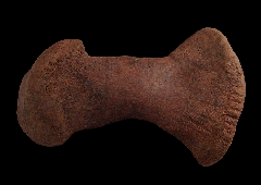 Edmontosaurus metatarsal bone for sale