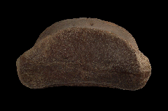 Large Edmontosaurus toe bones for sale