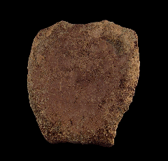 Edmontosaurus annectens vertebra for sale