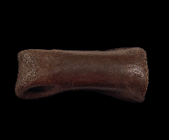 Struthiomimus toe bone | Buried Treasure Fossils