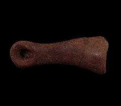 Struthiomimus hand bone | Buried Treasure Fossils