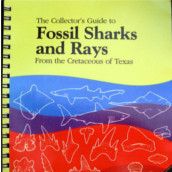 The Collector's Guide to Fossil Sharks and Rays By Welton & Farrish