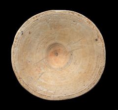 Otodus shark vertebra | Buried Treasure Fossils