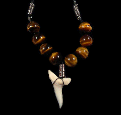 Megalodon shark tooth necklace for sale | Buried Treasure Fossils