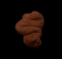 Real Coprolite for sale - Miocene