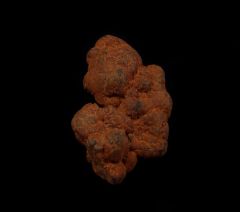 Coprolite for sale - Reptile | Buried Treasure Fossils