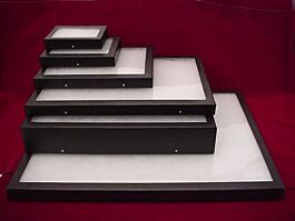 Small display frames for sale | Buried Treasure Fossils