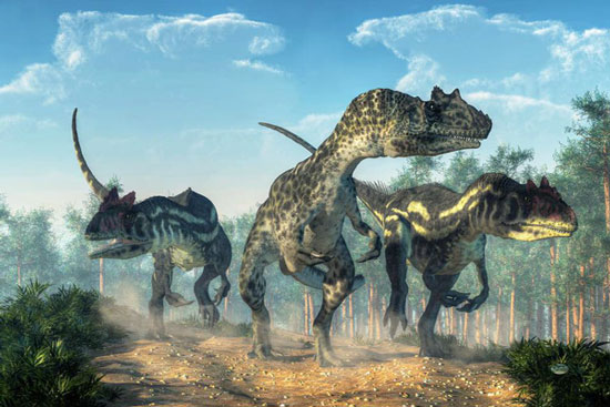 Allosaurus / Torvosaurus