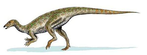 Thescelosaurus 