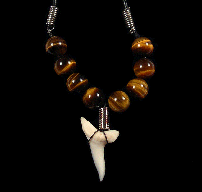 What Makes Megalodon Teeth and Shark Tooth Jewelry So Fascinating?