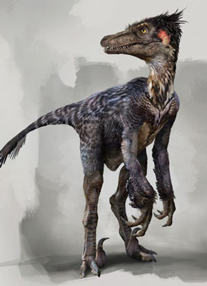 Why Velociraptor Claws Captivate Collectors and Paleontology Buffs
