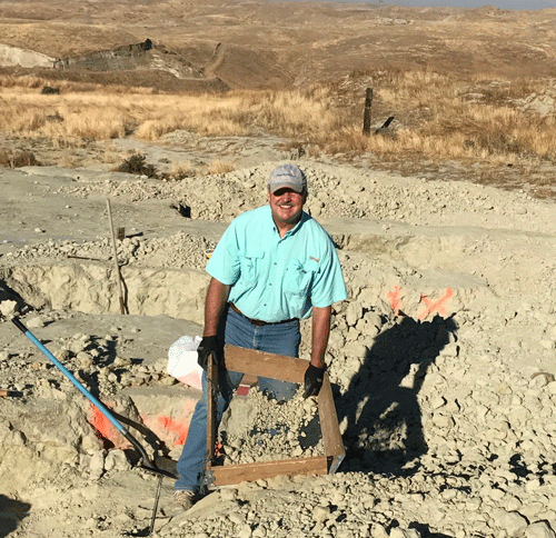 How Alpha Megalodon Teeth Formed in Ancient Ocean Sediments