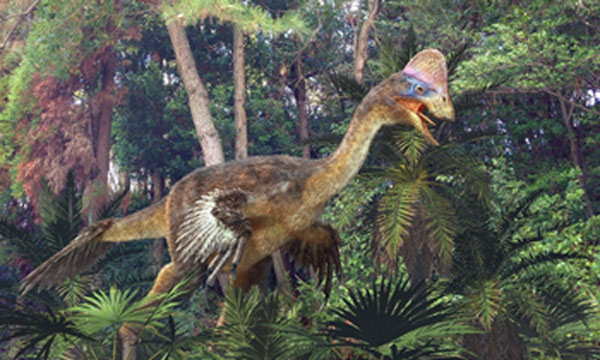 Why Do Anzu’s Claws Still Grip the Paleontological World?