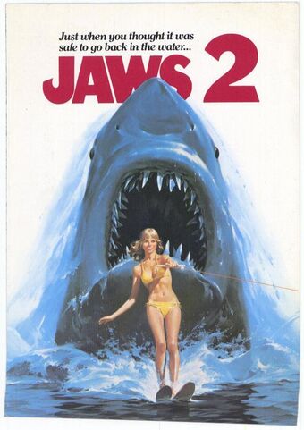 5 Facts That Hollywood’s Got Wrong About Sharks!