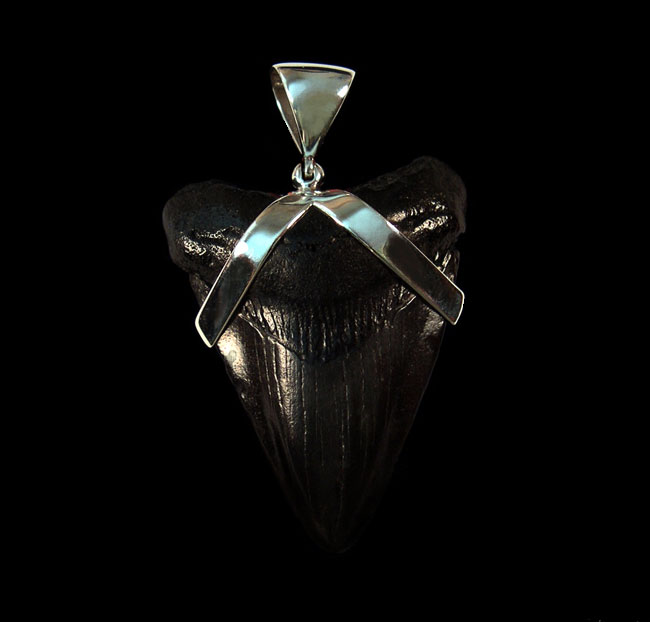 sharks tooth necklaces
