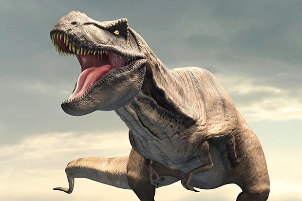 T-Rex - King of the Dinosaurs