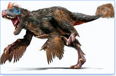 Facts AboutVelociraptor You May Not Be Aware Of