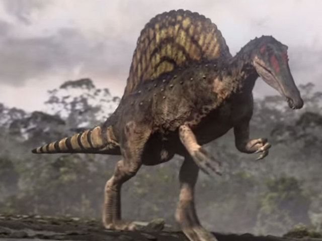 dinosaur with sail on back