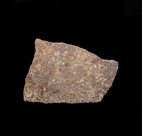 Titanosaur egg shell for sale | Buried Treasure Fossils
