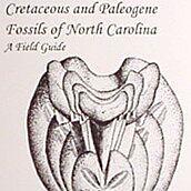 Cretaceous and Paleogene Fossils of North Carolina By John Timmerman and Richard Chandler
