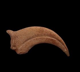 Anzu wyliei hand claw for sale | Buried Treasure Fossils