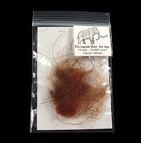 Ice Age Mammoth hair for sale | Buried Treasure Fossils