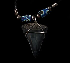 Mako shark tooth necklace for sale | Buried Treasure Fossils