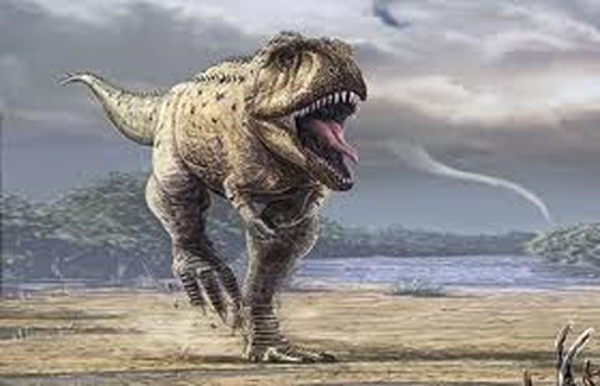 dinosaur like t rex with horns