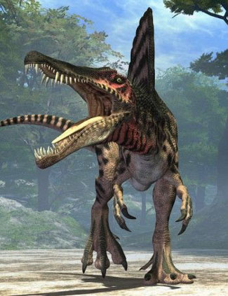 Spinosaurus Teeth & Fossils