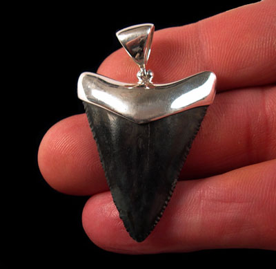 5 Shark Tooth Necklaces & Jewelry That We Should Be Talking About Instead of Kim K MetGala Look